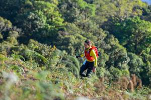 BIB: 
                            <button type="button" onclick="openModal(16059626)" class="btn btn-primary btn-sm float-right btn-popup" data-toggle="modal" data-target=".modal-high-quality">
                        <i class="fas fa-shopping-cart"></i> Add to Cart
                    </button>
                                            <button type="button" onclick="isThisMe(16059626, true)" class="btn btn-success btn-sm float-right btn-popup btn-isme hidden" data-toggle="tooltip" data-placement="bottom" title="นี่คือรูปของคุณใช่ไหม คลิกที่นี่เพื่อเอาเข้าอัลบั้ม">
                        <i class="fas fa-plus"></i> Add to album
                    </button>
                    <button type="button" onclick="isThisMe(16059626, false)" class="btn btn-warning btn-sm float-right btn-popup btn-isnotme hidden">
                        <i class="fas fa-ban"></i> Remove from album
                    </button>