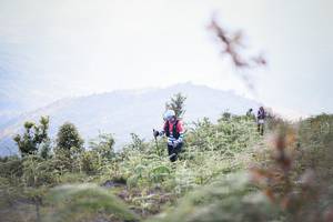 BIB: 
                            <button type="button" onclick="openModal(16059499)" class="btn btn-primary btn-sm float-right btn-popup" data-toggle="modal" data-target=".modal-high-quality">
                        <i class="fas fa-shopping-cart"></i> Add to Cart
                    </button>
                                            <button type="button" onclick="isThisMe(16059499, true)" class="btn btn-success btn-sm float-right btn-popup btn-isme hidden" data-toggle="tooltip" data-placement="bottom" title="นี่คือรูปของคุณใช่ไหม คลิกที่นี่เพื่อเอาเข้าอัลบั้ม">
                        <i class="fas fa-plus"></i> Add to album
                    </button>
                    <button type="button" onclick="isThisMe(16059499, false)" class="btn btn-warning btn-sm float-right btn-popup btn-isnotme hidden">
                        <i class="fas fa-ban"></i> Remove from album
                    </button>