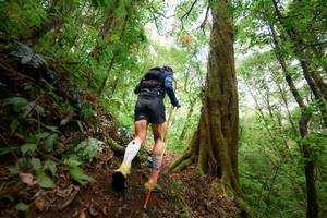 BIB: 
                            <button type="button" onclick="openModal(16059388)" class="btn btn-primary btn-sm float-right btn-popup" data-toggle="modal" data-target=".modal-high-quality">
                        <i class="fas fa-shopping-cart"></i> Add to Cart
                    </button>
                                            <button type="button" onclick="isThisMe(16059388, true)" class="btn btn-success btn-sm float-right btn-popup btn-isme hidden" data-toggle="tooltip" data-placement="bottom" title="นี่คือรูปของคุณใช่ไหม คลิกที่นี่เพื่อเอาเข้าอัลบั้ม">
                        <i class="fas fa-plus"></i> Add to album
                    </button>
                    <button type="button" onclick="isThisMe(16059388, false)" class="btn btn-warning btn-sm float-right btn-popup btn-isnotme hidden">
                        <i class="fas fa-ban"></i> Remove from album
                    </button>