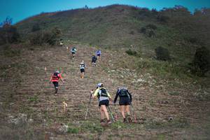 BIB: 
                            <button type="button" onclick="openModal(16059553)" class="btn btn-primary btn-sm float-right btn-popup" data-toggle="modal" data-target=".modal-high-quality">
                        <i class="fas fa-shopping-cart"></i> Add to Cart
                    </button>
                                            <button type="button" onclick="isThisMe(16059553, true)" class="btn btn-success btn-sm float-right btn-popup btn-isme hidden" data-toggle="tooltip" data-placement="bottom" title="นี่คือรูปของคุณใช่ไหม คลิกที่นี่เพื่อเอาเข้าอัลบั้ม">
                        <i class="fas fa-plus"></i> Add to album
                    </button>
                    <button type="button" onclick="isThisMe(16059553, false)" class="btn btn-warning btn-sm float-right btn-popup btn-isnotme hidden">
                        <i class="fas fa-ban"></i> Remove from album
                    </button>