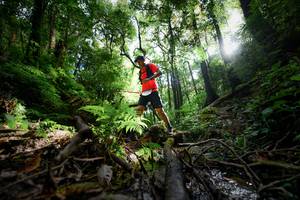 BIB: 
                            <button type="button" onclick="openModal(16059360)" class="btn btn-primary btn-sm float-right btn-popup" data-toggle="modal" data-target=".modal-high-quality">
                        <i class="fas fa-shopping-cart"></i> Add to Cart
                    </button>
                                            <button type="button" onclick="isThisMe(16059360, true)" class="btn btn-success btn-sm float-right btn-popup btn-isme hidden" data-toggle="tooltip" data-placement="bottom" title="นี่คือรูปของคุณใช่ไหม คลิกที่นี่เพื่อเอาเข้าอัลบั้ม">
                        <i class="fas fa-plus"></i> Add to album
                    </button>
                    <button type="button" onclick="isThisMe(16059360, false)" class="btn btn-warning btn-sm float-right btn-popup btn-isnotme hidden">
                        <i class="fas fa-ban"></i> Remove from album
                    </button>