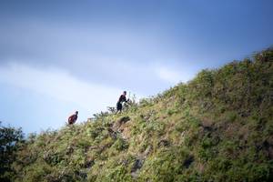 BIB: 
                            <button type="button" onclick="openModal(16059437)" class="btn btn-primary btn-sm float-right btn-popup" data-toggle="modal" data-target=".modal-high-quality">
                        <i class="fas fa-shopping-cart"></i> Add to Cart
                    </button>
                                            <button type="button" onclick="isThisMe(16059437, true)" class="btn btn-success btn-sm float-right btn-popup btn-isme hidden" data-toggle="tooltip" data-placement="bottom" title="นี่คือรูปของคุณใช่ไหม คลิกที่นี่เพื่อเอาเข้าอัลบั้ม">
                        <i class="fas fa-plus"></i> Add to album
                    </button>
                    <button type="button" onclick="isThisMe(16059437, false)" class="btn btn-warning btn-sm float-right btn-popup btn-isnotme hidden">
                        <i class="fas fa-ban"></i> Remove from album
                    </button>