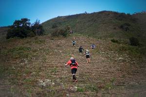 BIB: 
                            <button type="button" onclick="openModal(16059555)" class="btn btn-primary btn-sm float-right btn-popup" data-toggle="modal" data-target=".modal-high-quality">
                        <i class="fas fa-shopping-cart"></i> Add to Cart
                    </button>
                                            <button type="button" onclick="isThisMe(16059555, true)" class="btn btn-success btn-sm float-right btn-popup btn-isme hidden" data-toggle="tooltip" data-placement="bottom" title="นี่คือรูปของคุณใช่ไหม คลิกที่นี่เพื่อเอาเข้าอัลบั้ม">
                        <i class="fas fa-plus"></i> Add to album
                    </button>
                    <button type="button" onclick="isThisMe(16059555, false)" class="btn btn-warning btn-sm float-right btn-popup btn-isnotme hidden">
                        <i class="fas fa-ban"></i> Remove from album
                    </button>