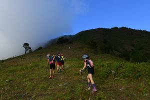 BIB: 
                            <button type="button" onclick="openModal(16059592)" class="btn btn-primary btn-sm float-right btn-popup" data-toggle="modal" data-target=".modal-high-quality">
                        <i class="fas fa-shopping-cart"></i> Add to Cart
                    </button>
                                            <button type="button" onclick="isThisMe(16059592, true)" class="btn btn-success btn-sm float-right btn-popup btn-isme hidden" data-toggle="tooltip" data-placement="bottom" title="นี่คือรูปของคุณใช่ไหม คลิกที่นี่เพื่อเอาเข้าอัลบั้ม">
                        <i class="fas fa-plus"></i> Add to album
                    </button>
                    <button type="button" onclick="isThisMe(16059592, false)" class="btn btn-warning btn-sm float-right btn-popup btn-isnotme hidden">
                        <i class="fas fa-ban"></i> Remove from album
                    </button>