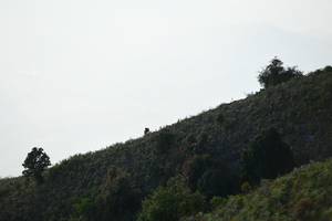 BIB: 
                            <button type="button" onclick="openModal(16059684)" class="btn btn-primary btn-sm float-right btn-popup" data-toggle="modal" data-target=".modal-high-quality">
                        <i class="fas fa-shopping-cart"></i> Add to Cart
                    </button>
                                            <button type="button" onclick="isThisMe(16059684, true)" class="btn btn-success btn-sm float-right btn-popup btn-isme hidden" data-toggle="tooltip" data-placement="bottom" title="นี่คือรูปของคุณใช่ไหม คลิกที่นี่เพื่อเอาเข้าอัลบั้ม">
                        <i class="fas fa-plus"></i> Add to album
                    </button>
                    <button type="button" onclick="isThisMe(16059684, false)" class="btn btn-warning btn-sm float-right btn-popup btn-isnotme hidden">
                        <i class="fas fa-ban"></i> Remove from album
                    </button>