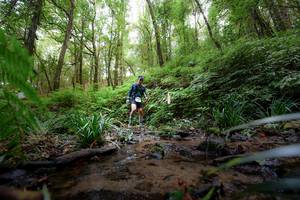 BIB: 
                            <button type="button" onclick="openModal(16059379)" class="btn btn-primary btn-sm float-right btn-popup" data-toggle="modal" data-target=".modal-high-quality">
                        <i class="fas fa-shopping-cart"></i> Add to Cart
                    </button>
                                            <button type="button" onclick="isThisMe(16059379, true)" class="btn btn-success btn-sm float-right btn-popup btn-isme hidden" data-toggle="tooltip" data-placement="bottom" title="นี่คือรูปของคุณใช่ไหม คลิกที่นี่เพื่อเอาเข้าอัลบั้ม">
                        <i class="fas fa-plus"></i> Add to album
                    </button>
                    <button type="button" onclick="isThisMe(16059379, false)" class="btn btn-warning btn-sm float-right btn-popup btn-isnotme hidden">
                        <i class="fas fa-ban"></i> Remove from album
                    </button>