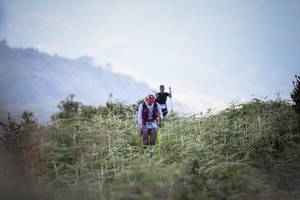 BIB: 
                            <button type="button" onclick="openModal(16059501)" class="btn btn-primary btn-sm float-right btn-popup" data-toggle="modal" data-target=".modal-high-quality">
                        <i class="fas fa-shopping-cart"></i> Add to Cart
                    </button>
                                            <button type="button" onclick="isThisMe(16059501, true)" class="btn btn-success btn-sm float-right btn-popup btn-isme hidden" data-toggle="tooltip" data-placement="bottom" title="นี่คือรูปของคุณใช่ไหม คลิกที่นี่เพื่อเอาเข้าอัลบั้ม">
                        <i class="fas fa-plus"></i> Add to album
                    </button>
                    <button type="button" onclick="isThisMe(16059501, false)" class="btn btn-warning btn-sm float-right btn-popup btn-isnotme hidden">
                        <i class="fas fa-ban"></i> Remove from album
                    </button>