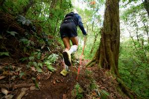 BIB: 
                            <button type="button" onclick="openModal(16059386)" class="btn btn-primary btn-sm float-right btn-popup" data-toggle="modal" data-target=".modal-high-quality">
                        <i class="fas fa-shopping-cart"></i> Add to Cart
                    </button>
                                            <button type="button" onclick="isThisMe(16059386, true)" class="btn btn-success btn-sm float-right btn-popup btn-isme hidden" data-toggle="tooltip" data-placement="bottom" title="นี่คือรูปของคุณใช่ไหม คลิกที่นี่เพื่อเอาเข้าอัลบั้ม">
                        <i class="fas fa-plus"></i> Add to album
                    </button>
                    <button type="button" onclick="isThisMe(16059386, false)" class="btn btn-warning btn-sm float-right btn-popup btn-isnotme hidden">
                        <i class="fas fa-ban"></i> Remove from album
                    </button>