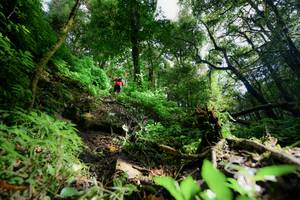 BIB: 
                            <button type="button" onclick="openModal(16059362)" class="btn btn-primary btn-sm float-right btn-popup" data-toggle="modal" data-target=".modal-high-quality">
                        <i class="fas fa-shopping-cart"></i> Add to Cart
                    </button>
                                            <button type="button" onclick="isThisMe(16059362, true)" class="btn btn-success btn-sm float-right btn-popup btn-isme hidden" data-toggle="tooltip" data-placement="bottom" title="นี่คือรูปของคุณใช่ไหม คลิกที่นี่เพื่อเอาเข้าอัลบั้ม">
                        <i class="fas fa-plus"></i> Add to album
                    </button>
                    <button type="button" onclick="isThisMe(16059362, false)" class="btn btn-warning btn-sm float-right btn-popup btn-isnotme hidden">
                        <i class="fas fa-ban"></i> Remove from album
                    </button>