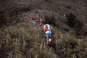 BIB: 
                            <button type="button" onclick="openModal(16059656)" class="btn btn-primary btn-sm float-right btn-popup" data-toggle="modal" data-target=".modal-high-quality">
                        <i class="fas fa-shopping-cart"></i> Add to Cart
                    </button>
                                            <button type="button" onclick="isThisMe(16059656, true)" class="btn btn-success btn-sm float-right btn-popup btn-isme hidden" data-toggle="tooltip" data-placement="bottom" title="นี่คือรูปของคุณใช่ไหม คลิกที่นี่เพื่อเอาเข้าอัลบั้ม">
                        <i class="fas fa-plus"></i> Add to album
                    </button>
                    <button type="button" onclick="isThisMe(16059656, false)" class="btn btn-warning btn-sm float-right btn-popup btn-isnotme hidden">
                        <i class="fas fa-ban"></i> Remove from album
                    </button>