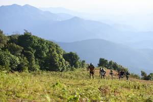 BIB: 
                            <button type="button" onclick="openModal(16059604)" class="btn btn-primary btn-sm float-right btn-popup" data-toggle="modal" data-target=".modal-high-quality">
                        <i class="fas fa-shopping-cart"></i> Add to Cart
                    </button>
                                            <button type="button" onclick="isThisMe(16059604, true)" class="btn btn-success btn-sm float-right btn-popup btn-isme hidden" data-toggle="tooltip" data-placement="bottom" title="นี่คือรูปของคุณใช่ไหม คลิกที่นี่เพื่อเอาเข้าอัลบั้ม">
                        <i class="fas fa-plus"></i> Add to album
                    </button>
                    <button type="button" onclick="isThisMe(16059604, false)" class="btn btn-warning btn-sm float-right btn-popup btn-isnotme hidden">
                        <i class="fas fa-ban"></i> Remove from album
                    </button>