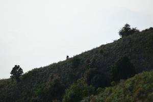 BIB: 
                            <button type="button" onclick="openModal(16059685)" class="btn btn-primary btn-sm float-right btn-popup" data-toggle="modal" data-target=".modal-high-quality">
                        <i class="fas fa-shopping-cart"></i> Add to Cart
                    </button>
                                            <button type="button" onclick="isThisMe(16059685, true)" class="btn btn-success btn-sm float-right btn-popup btn-isme hidden" data-toggle="tooltip" data-placement="bottom" title="นี่คือรูปของคุณใช่ไหม คลิกที่นี่เพื่อเอาเข้าอัลบั้ม">
                        <i class="fas fa-plus"></i> Add to album
                    </button>
                    <button type="button" onclick="isThisMe(16059685, false)" class="btn btn-warning btn-sm float-right btn-popup btn-isnotme hidden">
                        <i class="fas fa-ban"></i> Remove from album
                    </button>