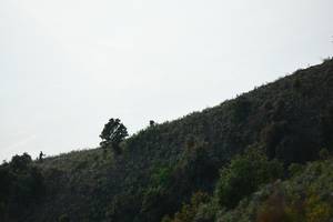 BIB: 
                            <button type="button" onclick="openModal(16059681)" class="btn btn-primary btn-sm float-right btn-popup" data-toggle="modal" data-target=".modal-high-quality">
                        <i class="fas fa-shopping-cart"></i> Add to Cart
                    </button>
                                            <button type="button" onclick="isThisMe(16059681, true)" class="btn btn-success btn-sm float-right btn-popup btn-isme hidden" data-toggle="tooltip" data-placement="bottom" title="นี่คือรูปของคุณใช่ไหม คลิกที่นี่เพื่อเอาเข้าอัลบั้ม">
                        <i class="fas fa-plus"></i> Add to album
                    </button>
                    <button type="button" onclick="isThisMe(16059681, false)" class="btn btn-warning btn-sm float-right btn-popup btn-isnotme hidden">
                        <i class="fas fa-ban"></i> Remove from album
                    </button>