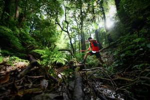 BIB: 
                            <button type="button" onclick="openModal(16059354)" class="btn btn-primary btn-sm float-right btn-popup" data-toggle="modal" data-target=".modal-high-quality">
                        <i class="fas fa-shopping-cart"></i> Add to Cart
                    </button>
                                            <button type="button" onclick="isThisMe(16059354, true)" class="btn btn-success btn-sm float-right btn-popup btn-isme hidden" data-toggle="tooltip" data-placement="bottom" title="นี่คือรูปของคุณใช่ไหม คลิกที่นี่เพื่อเอาเข้าอัลบั้ม">
                        <i class="fas fa-plus"></i> Add to album
                    </button>
                    <button type="button" onclick="isThisMe(16059354, false)" class="btn btn-warning btn-sm float-right btn-popup btn-isnotme hidden">
                        <i class="fas fa-ban"></i> Remove from album
                    </button>