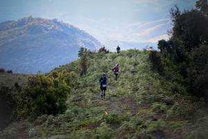 BIB: 
                            <button type="button" onclick="openModal(16059465)" class="btn btn-primary btn-sm float-right btn-popup" data-toggle="modal" data-target=".modal-high-quality">
                        <i class="fas fa-shopping-cart"></i> Add to Cart
                    </button>
                                            <button type="button" onclick="isThisMe(16059465, true)" class="btn btn-success btn-sm float-right btn-popup btn-isme hidden" data-toggle="tooltip" data-placement="bottom" title="นี่คือรูปของคุณใช่ไหม คลิกที่นี่เพื่อเอาเข้าอัลบั้ม">
                        <i class="fas fa-plus"></i> Add to album
                    </button>
                    <button type="button" onclick="isThisMe(16059465, false)" class="btn btn-warning btn-sm float-right btn-popup btn-isnotme hidden">
                        <i class="fas fa-ban"></i> Remove from album
                    </button>