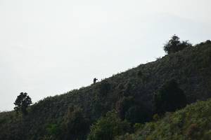 BIB: 
                            <button type="button" onclick="openModal(16059686)" class="btn btn-primary btn-sm float-right btn-popup" data-toggle="modal" data-target=".modal-high-quality">
                        <i class="fas fa-shopping-cart"></i> Add to Cart
                    </button>
                                            <button type="button" onclick="isThisMe(16059686, true)" class="btn btn-success btn-sm float-right btn-popup btn-isme hidden" data-toggle="tooltip" data-placement="bottom" title="นี่คือรูปของคุณใช่ไหม คลิกที่นี่เพื่อเอาเข้าอัลบั้ม">
                        <i class="fas fa-plus"></i> Add to album
                    </button>
                    <button type="button" onclick="isThisMe(16059686, false)" class="btn btn-warning btn-sm float-right btn-popup btn-isnotme hidden">
                        <i class="fas fa-ban"></i> Remove from album
                    </button>