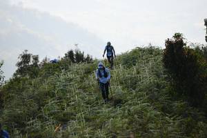 BIB: 
                            <button type="button" onclick="openModal(16059663)" class="btn btn-primary btn-sm float-right btn-popup" data-toggle="modal" data-target=".modal-high-quality">
                        <i class="fas fa-shopping-cart"></i> Add to Cart
                    </button>
                                            <button type="button" onclick="isThisMe(16059663, true)" class="btn btn-success btn-sm float-right btn-popup btn-isme hidden" data-toggle="tooltip" data-placement="bottom" title="นี่คือรูปของคุณใช่ไหม คลิกที่นี่เพื่อเอาเข้าอัลบั้ม">
                        <i class="fas fa-plus"></i> Add to album
                    </button>
                    <button type="button" onclick="isThisMe(16059663, false)" class="btn btn-warning btn-sm float-right btn-popup btn-isnotme hidden">
                        <i class="fas fa-ban"></i> Remove from album
                    </button>