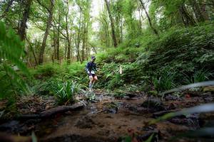 BIB: 
                            <button type="button" onclick="openModal(16059377)" class="btn btn-primary btn-sm float-right btn-popup" data-toggle="modal" data-target=".modal-high-quality">
                        <i class="fas fa-shopping-cart"></i> Add to Cart
                    </button>
                                            <button type="button" onclick="isThisMe(16059377, true)" class="btn btn-success btn-sm float-right btn-popup btn-isme hidden" data-toggle="tooltip" data-placement="bottom" title="นี่คือรูปของคุณใช่ไหม คลิกที่นี่เพื่อเอาเข้าอัลบั้ม">
                        <i class="fas fa-plus"></i> Add to album
                    </button>
                    <button type="button" onclick="isThisMe(16059377, false)" class="btn btn-warning btn-sm float-right btn-popup btn-isnotme hidden">
                        <i class="fas fa-ban"></i> Remove from album
                    </button>