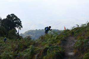 BIB: 
                            <button type="button" onclick="openModal(16059452)" class="btn btn-primary btn-sm float-right btn-popup" data-toggle="modal" data-target=".modal-high-quality">
                        <i class="fas fa-shopping-cart"></i> Add to Cart
                    </button>
                                            <button type="button" onclick="isThisMe(16059452, true)" class="btn btn-success btn-sm float-right btn-popup btn-isme hidden" data-toggle="tooltip" data-placement="bottom" title="นี่คือรูปของคุณใช่ไหม คลิกที่นี่เพื่อเอาเข้าอัลบั้ม">
                        <i class="fas fa-plus"></i> Add to album
                    </button>
                    <button type="button" onclick="isThisMe(16059452, false)" class="btn btn-warning btn-sm float-right btn-popup btn-isnotme hidden">
                        <i class="fas fa-ban"></i> Remove from album
                    </button>