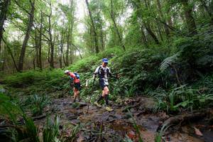 BIB: 
                            <button type="button" onclick="openModal(16059363)" class="btn btn-primary btn-sm float-right btn-popup" data-toggle="modal" data-target=".modal-high-quality">
                        <i class="fas fa-shopping-cart"></i> Add to Cart
                    </button>
                                            <button type="button" onclick="isThisMe(16059363, true)" class="btn btn-success btn-sm float-right btn-popup btn-isme hidden" data-toggle="tooltip" data-placement="bottom" title="นี่คือรูปของคุณใช่ไหม คลิกที่นี่เพื่อเอาเข้าอัลบั้ม">
                        <i class="fas fa-plus"></i> Add to album
                    </button>
                    <button type="button" onclick="isThisMe(16059363, false)" class="btn btn-warning btn-sm float-right btn-popup btn-isnotme hidden">
                        <i class="fas fa-ban"></i> Remove from album
                    </button>