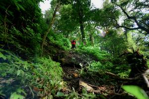 BIB: 
                            <button type="button" onclick="openModal(16059358)" class="btn btn-primary btn-sm float-right btn-popup" data-toggle="modal" data-target=".modal-high-quality">
                        <i class="fas fa-shopping-cart"></i> Add to Cart
                    </button>
                                            <button type="button" onclick="isThisMe(16059358, true)" class="btn btn-success btn-sm float-right btn-popup btn-isme hidden" data-toggle="tooltip" data-placement="bottom" title="นี่คือรูปของคุณใช่ไหม คลิกที่นี่เพื่อเอาเข้าอัลบั้ม">
                        <i class="fas fa-plus"></i> Add to album
                    </button>
                    <button type="button" onclick="isThisMe(16059358, false)" class="btn btn-warning btn-sm float-right btn-popup btn-isnotme hidden">
                        <i class="fas fa-ban"></i> Remove from album
                    </button>