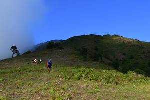 BIB: 
                            <button type="button" onclick="openModal(16059582)" class="btn btn-primary btn-sm float-right btn-popup" data-toggle="modal" data-target=".modal-high-quality">
                        <i class="fas fa-shopping-cart"></i> Add to Cart
                    </button>
                                            <button type="button" onclick="isThisMe(16059582, true)" class="btn btn-success btn-sm float-right btn-popup btn-isme hidden" data-toggle="tooltip" data-placement="bottom" title="นี่คือรูปของคุณใช่ไหม คลิกที่นี่เพื่อเอาเข้าอัลบั้ม">
                        <i class="fas fa-plus"></i> Add to album
                    </button>
                    <button type="button" onclick="isThisMe(16059582, false)" class="btn btn-warning btn-sm float-right btn-popup btn-isnotme hidden">
                        <i class="fas fa-ban"></i> Remove from album
                    </button>