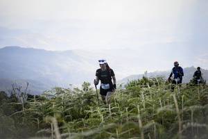 BIB: 
                            <button type="button" onclick="openModal(16059525)" class="btn btn-primary btn-sm float-right btn-popup" data-toggle="modal" data-target=".modal-high-quality">
                        <i class="fas fa-shopping-cart"></i> Add to Cart
                    </button>
                                            <button type="button" onclick="isThisMe(16059525, true)" class="btn btn-success btn-sm float-right btn-popup btn-isme hidden" data-toggle="tooltip" data-placement="bottom" title="นี่คือรูปของคุณใช่ไหม คลิกที่นี่เพื่อเอาเข้าอัลบั้ม">
                        <i class="fas fa-plus"></i> Add to album
                    </button>
                    <button type="button" onclick="isThisMe(16059525, false)" class="btn btn-warning btn-sm float-right btn-popup btn-isnotme hidden">
                        <i class="fas fa-ban"></i> Remove from album
                    </button>