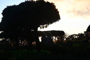 BIB: 
                            <button type="button" onclick="openModal(16059717)" class="btn btn-primary btn-sm float-right btn-popup" data-toggle="modal" data-target=".modal-high-quality">
                        <i class="fas fa-shopping-cart"></i> Add to Cart
                    </button>
                                            <button type="button" onclick="isThisMe(16059717, true)" class="btn btn-success btn-sm float-right btn-popup btn-isme hidden" data-toggle="tooltip" data-placement="bottom" title="นี่คือรูปของคุณใช่ไหม คลิกที่นี่เพื่อเอาเข้าอัลบั้ม">
                        <i class="fas fa-plus"></i> Add to album
                    </button>
                    <button type="button" onclick="isThisMe(16059717, false)" class="btn btn-warning btn-sm float-right btn-popup btn-isnotme hidden">
                        <i class="fas fa-ban"></i> Remove from album
                    </button>