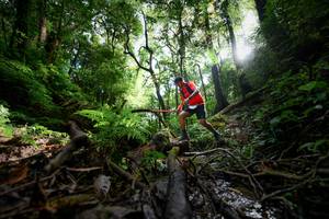 BIB: 
                            <button type="button" onclick="openModal(16059355)" class="btn btn-primary btn-sm float-right btn-popup" data-toggle="modal" data-target=".modal-high-quality">
                        <i class="fas fa-shopping-cart"></i> Add to Cart
                    </button>
                                            <button type="button" onclick="isThisMe(16059355, true)" class="btn btn-success btn-sm float-right btn-popup btn-isme hidden" data-toggle="tooltip" data-placement="bottom" title="นี่คือรูปของคุณใช่ไหม คลิกที่นี่เพื่อเอาเข้าอัลบั้ม">
                        <i class="fas fa-plus"></i> Add to album
                    </button>
                    <button type="button" onclick="isThisMe(16059355, false)" class="btn btn-warning btn-sm float-right btn-popup btn-isnotme hidden">
                        <i class="fas fa-ban"></i> Remove from album
                    </button>