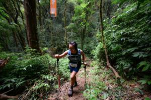 BIB: 
                            <button type="button" onclick="openModal(16059340)" class="btn btn-primary btn-sm float-right btn-popup" data-toggle="modal" data-target=".modal-high-quality">
                        <i class="fas fa-shopping-cart"></i> Add to Cart
                    </button>
                                            <button type="button" onclick="isThisMe(16059340, true)" class="btn btn-success btn-sm float-right btn-popup btn-isme hidden" data-toggle="tooltip" data-placement="bottom" title="นี่คือรูปของคุณใช่ไหม คลิกที่นี่เพื่อเอาเข้าอัลบั้ม">
                        <i class="fas fa-plus"></i> Add to album
                    </button>
                    <button type="button" onclick="isThisMe(16059340, false)" class="btn btn-warning btn-sm float-right btn-popup btn-isnotme hidden">
                        <i class="fas fa-ban"></i> Remove from album
                    </button>