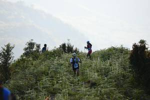 BIB: 
                            <button type="button" onclick="openModal(16059662)" class="btn btn-primary btn-sm float-right btn-popup" data-toggle="modal" data-target=".modal-high-quality">
                        <i class="fas fa-shopping-cart"></i> Add to Cart
                    </button>
                                            <button type="button" onclick="isThisMe(16059662, true)" class="btn btn-success btn-sm float-right btn-popup btn-isme hidden" data-toggle="tooltip" data-placement="bottom" title="นี่คือรูปของคุณใช่ไหม คลิกที่นี่เพื่อเอาเข้าอัลบั้ม">
                        <i class="fas fa-plus"></i> Add to album
                    </button>
                    <button type="button" onclick="isThisMe(16059662, false)" class="btn btn-warning btn-sm float-right btn-popup btn-isnotme hidden">
                        <i class="fas fa-ban"></i> Remove from album
                    </button>