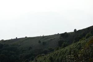 BIB: 
                            <button type="button" onclick="openModal(16059680)" class="btn btn-primary btn-sm float-right btn-popup" data-toggle="modal" data-target=".modal-high-quality">
                        <i class="fas fa-shopping-cart"></i> Add to Cart
                    </button>
                                            <button type="button" onclick="isThisMe(16059680, true)" class="btn btn-success btn-sm float-right btn-popup btn-isme hidden" data-toggle="tooltip" data-placement="bottom" title="นี่คือรูปของคุณใช่ไหม คลิกที่นี่เพื่อเอาเข้าอัลบั้ม">
                        <i class="fas fa-plus"></i> Add to album
                    </button>
                    <button type="button" onclick="isThisMe(16059680, false)" class="btn btn-warning btn-sm float-right btn-popup btn-isnotme hidden">
                        <i class="fas fa-ban"></i> Remove from album
                    </button>