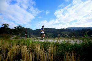 BIB: 
                            <button type="button" onclick="openModal(16060001)" class="btn btn-primary btn-sm float-right btn-popup" data-toggle="modal" data-target=".modal-high-quality">
                        <i class="fas fa-shopping-cart"></i> Add to Cart
                    </button>
                                            <button type="button" onclick="isThisMe(16060001, true)" class="btn btn-success btn-sm float-right btn-popup btn-isme hidden" data-toggle="tooltip" data-placement="bottom" title="นี่คือรูปของคุณใช่ไหม คลิกที่นี่เพื่อเอาเข้าอัลบั้ม">
                        <i class="fas fa-plus"></i> Add to album
                    </button>
                    <button type="button" onclick="isThisMe(16060001, false)" class="btn btn-warning btn-sm float-right btn-popup btn-isnotme hidden">
                        <i class="fas fa-ban"></i> Remove from album
                    </button>