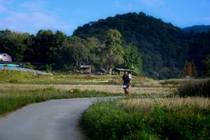 BIB: 
                            <button type="button" onclick="openModal(16060028)" class="btn btn-primary btn-sm float-right btn-popup" data-toggle="modal" data-target=".modal-high-quality">
                        <i class="fas fa-shopping-cart"></i> Add to Cart
                    </button>
                                            <button type="button" onclick="isThisMe(16060028, true)" class="btn btn-success btn-sm float-right btn-popup btn-isme hidden" data-toggle="tooltip" data-placement="bottom" title="นี่คือรูปของคุณใช่ไหม คลิกที่นี่เพื่อเอาเข้าอัลบั้ม">
                        <i class="fas fa-plus"></i> Add to album
                    </button>
                    <button type="button" onclick="isThisMe(16060028, false)" class="btn btn-warning btn-sm float-right btn-popup btn-isnotme hidden">
                        <i class="fas fa-ban"></i> Remove from album
                    </button>