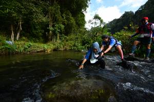 BIB: 
                            <button type="button" onclick="openModal(16060161)" class="btn btn-primary btn-sm float-right btn-popup" data-toggle="modal" data-target=".modal-high-quality">
                        <i class="fas fa-shopping-cart"></i> Add to Cart
                    </button>
                                            <button type="button" onclick="isThisMe(16060161, true)" class="btn btn-success btn-sm float-right btn-popup btn-isme hidden" data-toggle="tooltip" data-placement="bottom" title="นี่คือรูปของคุณใช่ไหม คลิกที่นี่เพื่อเอาเข้าอัลบั้ม">
                        <i class="fas fa-plus"></i> Add to album
                    </button>
                    <button type="button" onclick="isThisMe(16060161, false)" class="btn btn-warning btn-sm float-right btn-popup btn-isnotme hidden">
                        <i class="fas fa-ban"></i> Remove from album
                    </button>