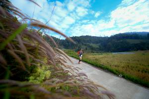 BIB: 
                            <button type="button" onclick="openModal(16059983)" class="btn btn-primary btn-sm float-right btn-popup" data-toggle="modal" data-target=".modal-high-quality">
                        <i class="fas fa-shopping-cart"></i> Add to Cart
                    </button>
                                            <button type="button" onclick="isThisMe(16059983, true)" class="btn btn-success btn-sm float-right btn-popup btn-isme hidden" data-toggle="tooltip" data-placement="bottom" title="นี่คือรูปของคุณใช่ไหม คลิกที่นี่เพื่อเอาเข้าอัลบั้ม">
                        <i class="fas fa-plus"></i> Add to album
                    </button>
                    <button type="button" onclick="isThisMe(16059983, false)" class="btn btn-warning btn-sm float-right btn-popup btn-isnotme hidden">
                        <i class="fas fa-ban"></i> Remove from album
                    </button>