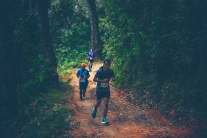 BIB: 
                            <button type="button" onclick="openModal(16059912)" class="btn btn-primary btn-sm float-right btn-popup" data-toggle="modal" data-target=".modal-high-quality">
                        <i class="fas fa-shopping-cart"></i> Add to Cart
                    </button>
                                            <button type="button" onclick="isThisMe(16059912, true)" class="btn btn-success btn-sm float-right btn-popup btn-isme hidden" data-toggle="tooltip" data-placement="bottom" title="นี่คือรูปของคุณใช่ไหม คลิกที่นี่เพื่อเอาเข้าอัลบั้ม">
                        <i class="fas fa-plus"></i> Add to album
                    </button>
                    <button type="button" onclick="isThisMe(16059912, false)" class="btn btn-warning btn-sm float-right btn-popup btn-isnotme hidden">
                        <i class="fas fa-ban"></i> Remove from album
                    </button>