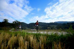 BIB: 
                            <button type="button" onclick="openModal(16059999)" class="btn btn-primary btn-sm float-right btn-popup" data-toggle="modal" data-target=".modal-high-quality">
                        <i class="fas fa-shopping-cart"></i> Add to Cart
                    </button>
                                            <button type="button" onclick="isThisMe(16059999, true)" class="btn btn-success btn-sm float-right btn-popup btn-isme hidden" data-toggle="tooltip" data-placement="bottom" title="นี่คือรูปของคุณใช่ไหม คลิกที่นี่เพื่อเอาเข้าอัลบั้ม">
                        <i class="fas fa-plus"></i> Add to album
                    </button>
                    <button type="button" onclick="isThisMe(16059999, false)" class="btn btn-warning btn-sm float-right btn-popup btn-isnotme hidden">
                        <i class="fas fa-ban"></i> Remove from album
                    </button>