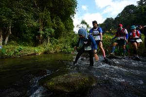 BIB: 
                            <button type="button" onclick="openModal(16060162)" class="btn btn-primary btn-sm float-right btn-popup" data-toggle="modal" data-target=".modal-high-quality">
                        <i class="fas fa-shopping-cart"></i> Add to Cart
                    </button>
                                            <button type="button" onclick="isThisMe(16060162, true)" class="btn btn-success btn-sm float-right btn-popup btn-isme hidden" data-toggle="tooltip" data-placement="bottom" title="นี่คือรูปของคุณใช่ไหม คลิกที่นี่เพื่อเอาเข้าอัลบั้ม">
                        <i class="fas fa-plus"></i> Add to album
                    </button>
                    <button type="button" onclick="isThisMe(16060162, false)" class="btn btn-warning btn-sm float-right btn-popup btn-isnotme hidden">
                        <i class="fas fa-ban"></i> Remove from album
                    </button>