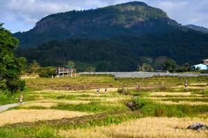 BIB: 
                            <button type="button" onclick="openModal(16060039)" class="btn btn-primary btn-sm float-right btn-popup" data-toggle="modal" data-target=".modal-high-quality">
                        <i class="fas fa-shopping-cart"></i> Add to Cart
                    </button>
                                            <button type="button" onclick="isThisMe(16060039, true)" class="btn btn-success btn-sm float-right btn-popup btn-isme hidden" data-toggle="tooltip" data-placement="bottom" title="นี่คือรูปของคุณใช่ไหม คลิกที่นี่เพื่อเอาเข้าอัลบั้ม">
                        <i class="fas fa-plus"></i> Add to album
                    </button>
                    <button type="button" onclick="isThisMe(16060039, false)" class="btn btn-warning btn-sm float-right btn-popup btn-isnotme hidden">
                        <i class="fas fa-ban"></i> Remove from album
                    </button>