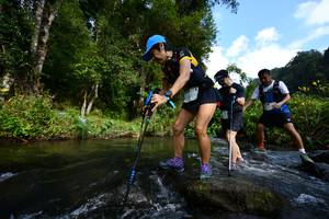 BIB: 
                            <button type="button" onclick="openModal(16060150)" class="btn btn-primary btn-sm float-right btn-popup" data-toggle="modal" data-target=".modal-high-quality">
                        <i class="fas fa-shopping-cart"></i> Add to Cart
                    </button>
                                            <button type="button" onclick="isThisMe(16060150, true)" class="btn btn-success btn-sm float-right btn-popup btn-isme hidden" data-toggle="tooltip" data-placement="bottom" title="นี่คือรูปของคุณใช่ไหม คลิกที่นี่เพื่อเอาเข้าอัลบั้ม">
                        <i class="fas fa-plus"></i> Add to album
                    </button>
                    <button type="button" onclick="isThisMe(16060150, false)" class="btn btn-warning btn-sm float-right btn-popup btn-isnotme hidden">
                        <i class="fas fa-ban"></i> Remove from album
                    </button>