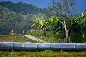 BIB: 
                            <button type="button" onclick="openModal(16060093)" class="btn btn-primary btn-sm float-right btn-popup" data-toggle="modal" data-target=".modal-high-quality">
                        <i class="fas fa-shopping-cart"></i> Add to Cart
                    </button>
                                            <button type="button" onclick="isThisMe(16060093, true)" class="btn btn-success btn-sm float-right btn-popup btn-isme hidden" data-toggle="tooltip" data-placement="bottom" title="นี่คือรูปของคุณใช่ไหม คลิกที่นี่เพื่อเอาเข้าอัลบั้ม">
                        <i class="fas fa-plus"></i> Add to album
                    </button>
                    <button type="button" onclick="isThisMe(16060093, false)" class="btn btn-warning btn-sm float-right btn-popup btn-isnotme hidden">
                        <i class="fas fa-ban"></i> Remove from album
                    </button>