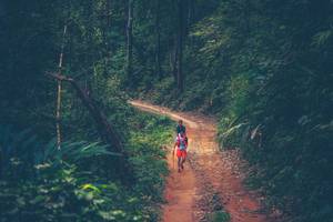 BIB: 
                            <button type="button" onclick="openModal(16059916)" class="btn btn-primary btn-sm float-right btn-popup" data-toggle="modal" data-target=".modal-high-quality">
                        <i class="fas fa-shopping-cart"></i> Add to Cart
                    </button>
                                            <button type="button" onclick="isThisMe(16059916, true)" class="btn btn-success btn-sm float-right btn-popup btn-isme hidden" data-toggle="tooltip" data-placement="bottom" title="นี่คือรูปของคุณใช่ไหม คลิกที่นี่เพื่อเอาเข้าอัลบั้ม">
                        <i class="fas fa-plus"></i> Add to album
                    </button>
                    <button type="button" onclick="isThisMe(16059916, false)" class="btn btn-warning btn-sm float-right btn-popup btn-isnotme hidden">
                        <i class="fas fa-ban"></i> Remove from album
                    </button>