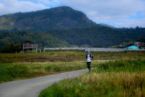 BIB: 
                            <button type="button" onclick="openModal(16060017)" class="btn btn-primary btn-sm float-right btn-popup" data-toggle="modal" data-target=".modal-high-quality">
                        <i class="fas fa-shopping-cart"></i> Add to Cart
                    </button>
                                            <button type="button" onclick="isThisMe(16060017, true)" class="btn btn-success btn-sm float-right btn-popup btn-isme hidden" data-toggle="tooltip" data-placement="bottom" title="นี่คือรูปของคุณใช่ไหม คลิกที่นี่เพื่อเอาเข้าอัลบั้ม">
                        <i class="fas fa-plus"></i> Add to album
                    </button>
                    <button type="button" onclick="isThisMe(16060017, false)" class="btn btn-warning btn-sm float-right btn-popup btn-isnotme hidden">
                        <i class="fas fa-ban"></i> Remove from album
                    </button>