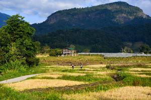 BIB: 
                            <button type="button" onclick="openModal(16060037)" class="btn btn-primary btn-sm float-right btn-popup" data-toggle="modal" data-target=".modal-high-quality">
                        <i class="fas fa-shopping-cart"></i> Add to Cart
                    </button>
                                            <button type="button" onclick="isThisMe(16060037, true)" class="btn btn-success btn-sm float-right btn-popup btn-isme hidden" data-toggle="tooltip" data-placement="bottom" title="นี่คือรูปของคุณใช่ไหม คลิกที่นี่เพื่อเอาเข้าอัลบั้ม">
                        <i class="fas fa-plus"></i> Add to album
                    </button>
                    <button type="button" onclick="isThisMe(16060037, false)" class="btn btn-warning btn-sm float-right btn-popup btn-isnotme hidden">
                        <i class="fas fa-ban"></i> Remove from album
                    </button>