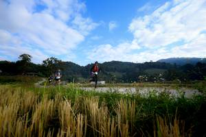 BIB: 
                            <button type="button" onclick="openModal(16059998)" class="btn btn-primary btn-sm float-right btn-popup" data-toggle="modal" data-target=".modal-high-quality">
                        <i class="fas fa-shopping-cart"></i> Add to Cart
                    </button>
                                            <button type="button" onclick="isThisMe(16059998, true)" class="btn btn-success btn-sm float-right btn-popup btn-isme hidden" data-toggle="tooltip" data-placement="bottom" title="นี่คือรูปของคุณใช่ไหม คลิกที่นี่เพื่อเอาเข้าอัลบั้ม">
                        <i class="fas fa-plus"></i> Add to album
                    </button>
                    <button type="button" onclick="isThisMe(16059998, false)" class="btn btn-warning btn-sm float-right btn-popup btn-isnotme hidden">
                        <i class="fas fa-ban"></i> Remove from album
                    </button>