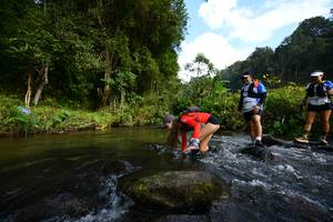 BIB: 
                            <button type="button" onclick="openModal(16060176)" class="btn btn-primary btn-sm float-right btn-popup" data-toggle="modal" data-target=".modal-high-quality">
                        <i class="fas fa-shopping-cart"></i> Add to Cart
                    </button>
                                            <button type="button" onclick="isThisMe(16060176, true)" class="btn btn-success btn-sm float-right btn-popup btn-isme hidden" data-toggle="tooltip" data-placement="bottom" title="นี่คือรูปของคุณใช่ไหม คลิกที่นี่เพื่อเอาเข้าอัลบั้ม">
                        <i class="fas fa-plus"></i> Add to album
                    </button>
                    <button type="button" onclick="isThisMe(16060176, false)" class="btn btn-warning btn-sm float-right btn-popup btn-isnotme hidden">
                        <i class="fas fa-ban"></i> Remove from album
                    </button>