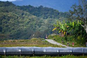 BIB: 
                            <button type="button" onclick="openModal(16060092)" class="btn btn-primary btn-sm float-right btn-popup" data-toggle="modal" data-target=".modal-high-quality">
                        <i class="fas fa-shopping-cart"></i> Add to Cart
                    </button>
                                            <button type="button" onclick="isThisMe(16060092, true)" class="btn btn-success btn-sm float-right btn-popup btn-isme hidden" data-toggle="tooltip" data-placement="bottom" title="นี่คือรูปของคุณใช่ไหม คลิกที่นี่เพื่อเอาเข้าอัลบั้ม">
                        <i class="fas fa-plus"></i> Add to album
                    </button>
                    <button type="button" onclick="isThisMe(16060092, false)" class="btn btn-warning btn-sm float-right btn-popup btn-isnotme hidden">
                        <i class="fas fa-ban"></i> Remove from album
                    </button>