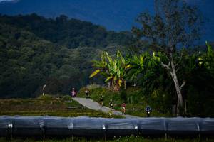 BIB: 
                            <button type="button" onclick="openModal(16060091)" class="btn btn-primary btn-sm float-right btn-popup" data-toggle="modal" data-target=".modal-high-quality">
                        <i class="fas fa-shopping-cart"></i> Add to Cart
                    </button>
                                            <button type="button" onclick="isThisMe(16060091, true)" class="btn btn-success btn-sm float-right btn-popup btn-isme hidden" data-toggle="tooltip" data-placement="bottom" title="นี่คือรูปของคุณใช่ไหม คลิกที่นี่เพื่อเอาเข้าอัลบั้ม">
                        <i class="fas fa-plus"></i> Add to album
                    </button>
                    <button type="button" onclick="isThisMe(16060091, false)" class="btn btn-warning btn-sm float-right btn-popup btn-isnotme hidden">
                        <i class="fas fa-ban"></i> Remove from album
                    </button>