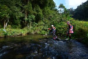 BIB: 
                            <button type="button" onclick="openModal(16060141)" class="btn btn-primary btn-sm float-right btn-popup" data-toggle="modal" data-target=".modal-high-quality">
                        <i class="fas fa-shopping-cart"></i> Add to Cart
                    </button>
                                            <button type="button" onclick="isThisMe(16060141, true)" class="btn btn-success btn-sm float-right btn-popup btn-isme hidden" data-toggle="tooltip" data-placement="bottom" title="นี่คือรูปของคุณใช่ไหม คลิกที่นี่เพื่อเอาเข้าอัลบั้ม">
                        <i class="fas fa-plus"></i> Add to album
                    </button>
                    <button type="button" onclick="isThisMe(16060141, false)" class="btn btn-warning btn-sm float-right btn-popup btn-isnotme hidden">
                        <i class="fas fa-ban"></i> Remove from album
                    </button>